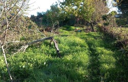 Póvoa de Rio de Moinhos e Cafede, Castelo Branco District