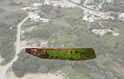 Setúbal (São Sebastião), Setubal
