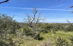 Paderne, Algarve