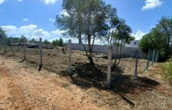Quinta do Anjo, Setubal