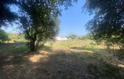 Cantanhede, Coimbra District