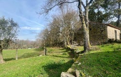 Bodiosa, Viseu District
