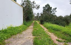 Guia, Algarve 8200