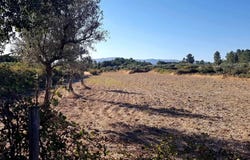 Calvo, Alcains, Castelo Branco District 6005-193
