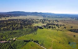 Montemor-o-Novo, Évora 7050-556