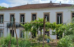 Cernache do Bonjardim, Castelo Branco District