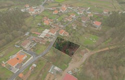 Oliveira, Braga