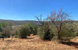 Loulé, Algarve