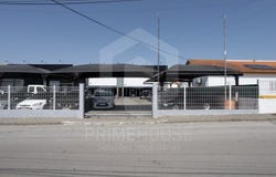 Azeitão (São Lourenço e São Simão), Setubal