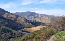 Tabuaço, Viseu District