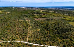 Borba (Matriz), Évora 7150