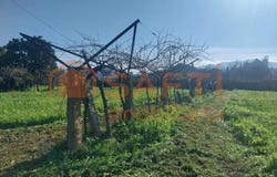 Bela, Viana do Castelo District