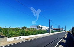 Alagoa, Portalegre, Portalegre District 7300
