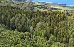 Ilha de São Miguel, Azores