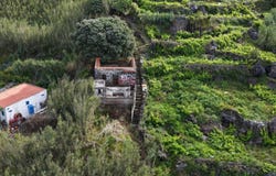 Relva, Azores