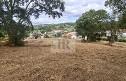 Caldas da Rainha, Leiria District