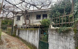 Verim, Braga