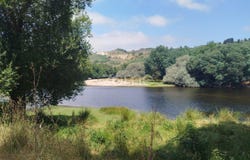 Mangualde, Viseu District