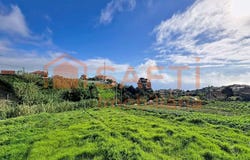 Canhas, Madeira