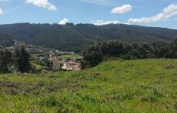 Santo Tirso, Porto 4795-768