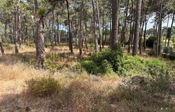 Almada, Setúbal