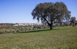 Alter Do Chão, Portalegre 7440