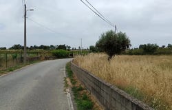 Salgueiro do Campo, Castelo Branco District