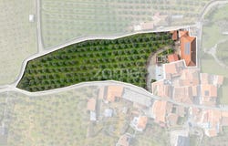 Murça, Vila Real District