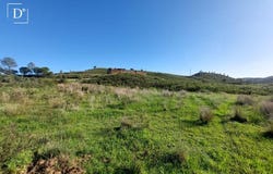 Portimão, Algarve 8500