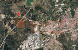 Castelo Branco, Castelo Branco District