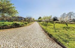 Vila Real, Vila Real District 5400