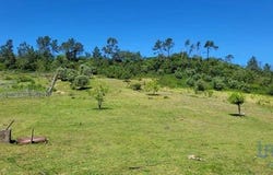 Porto de Mós, Leiria 2480-160