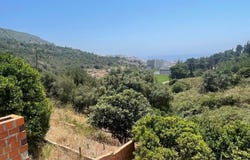 Sesimbra (Santiago), Setubal