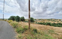 Achete, Azoia de Baixo e Póvoa de Santarém, Santarém, Santarém District 2005