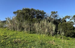 Atouguia Da Baleia, Leiria 2525