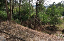 Braga, Braga