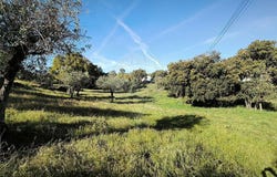 Portalegre, Portalegre District 7340