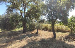 Aldeia de Santa Margarida, Castelo Branco District