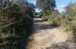 Brogueira, Santarém District