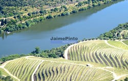 Santo Amaro, Portalegre 7470