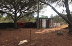 Boliqueime, Algarve