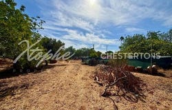 Almancil, Loulé, Faro