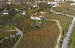 Peso da Régua, Vila Real District