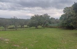 Moimenta da Beira, Viseu 3620-441