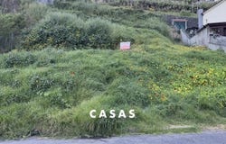 Monte, Madeira 9050