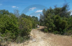 Brogueira, Santarém District