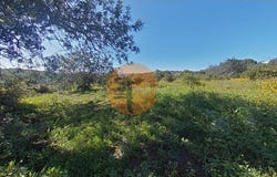 Estoi, Algarve