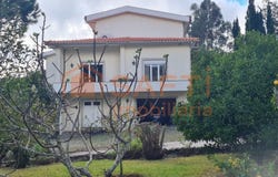 Ossela, Aveiro Municipality 3720