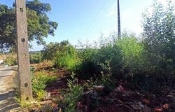 Coruche, Santarém 2100-516