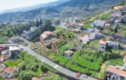 Ilha da Madeira, Madeira